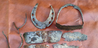 Археологічні знахідки на території Буського парку. Фото - Краєзнавчий музей міста Буська.