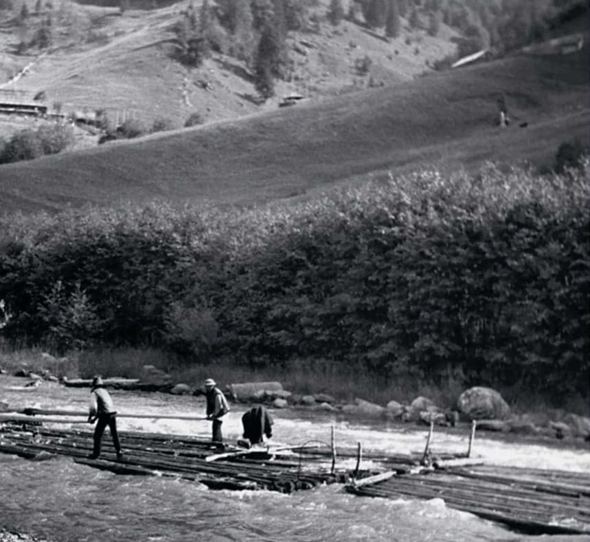 Плотогони сплавляють деревину Чорним Черемошем. Гірські річки у верхів'ях мілкі, тож у невеликих загатах накопичували воду, яку спускали в певний час разом з плотами-дарабами. Дороті Госмер разом зі своїм велосипедом теж випробувала цей небезпечний вид річкового транспорту. Професія лісосплавника відмерла у Карпатах наприкінці 1970-х рр.Фото: Дороті Госмер