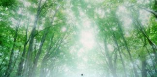 Вірян запрошують на прощу до чудотворної каплиці на Жидачівщині