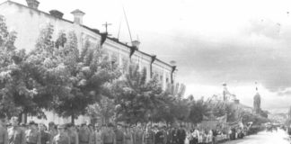 Рівне, маніфестація «холодноярців»