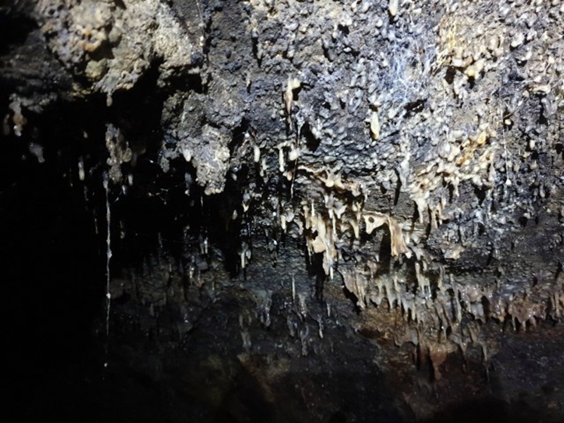 Стеля колектора