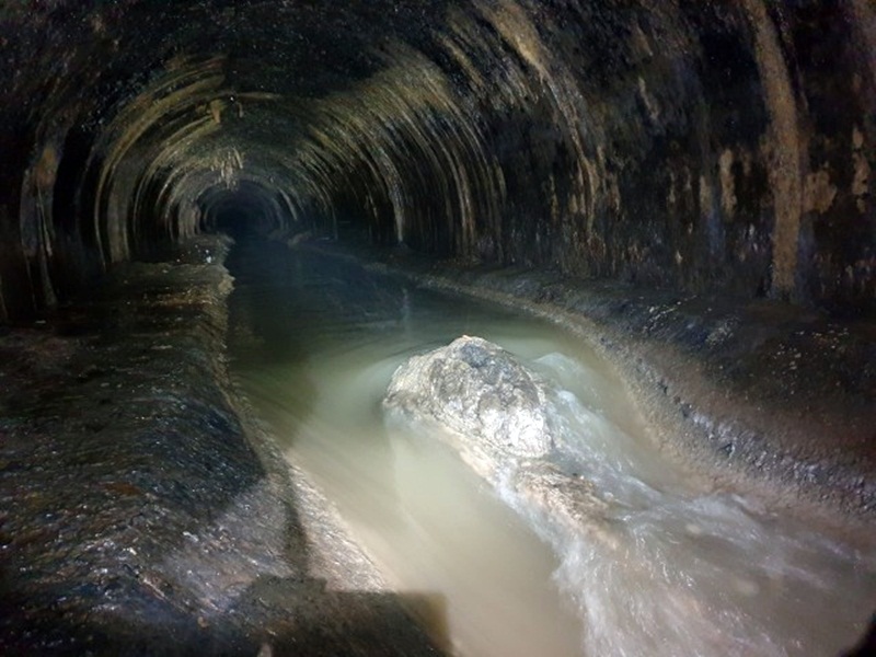 Крокодиляча голова