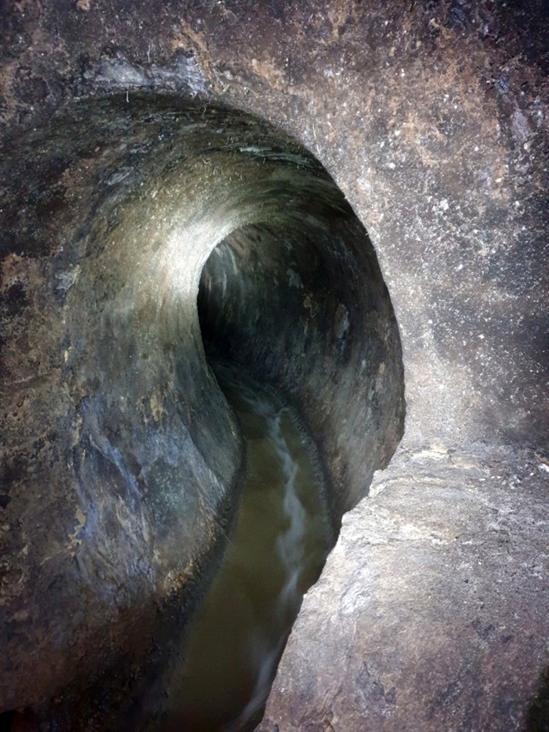 Красиве яйце!