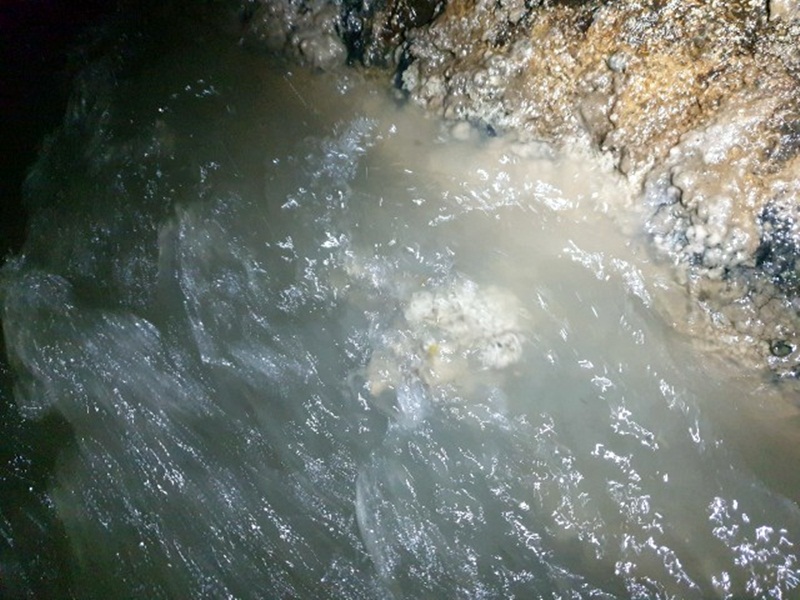 Таке от шось незрозуміле біле вкриває всі бортики і плаває у воді