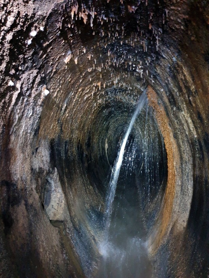 Яйце в сторону Погулянки