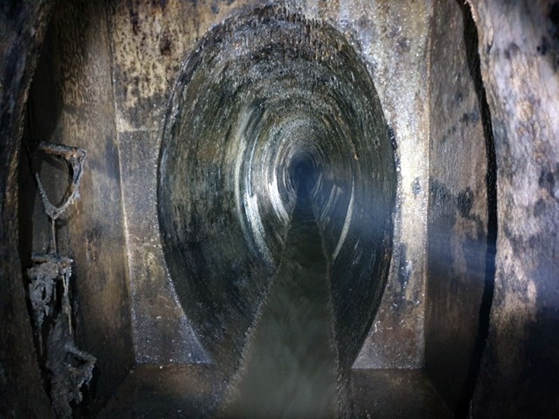 В кінці видно злиття яєць з Погулянки і Вахнянина