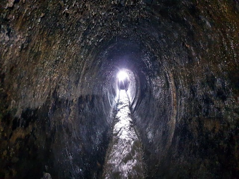 Вертаюся назад, тримаючись за ці липкі стінки