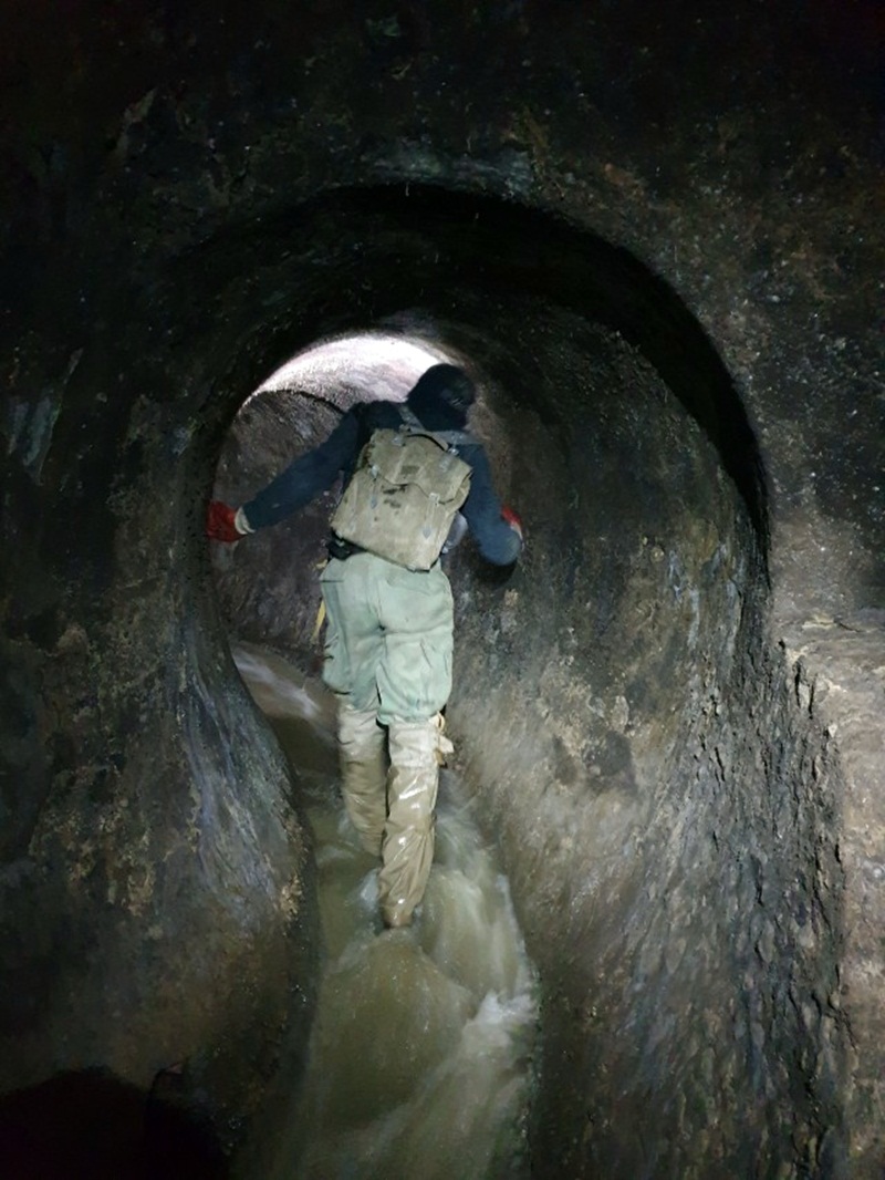 Йдемо глянемо, що там в яйці