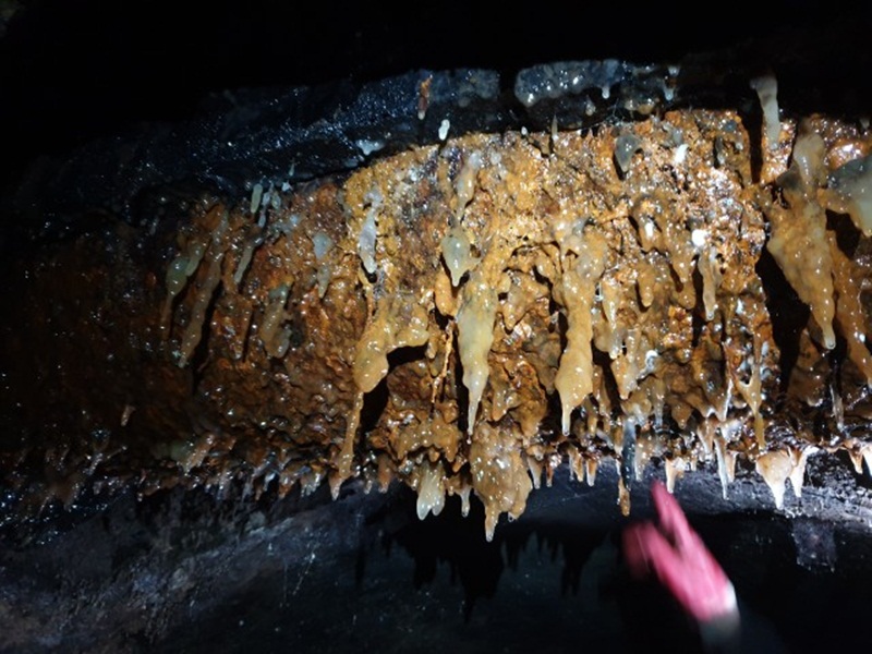 Обросла труба під стелею