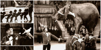 Чим "Варшава" здивувала Львів майже 40 років тому