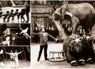 Чим "Варшава" здивувала Львів майже 40 років тому