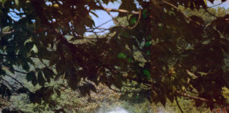 Фонтани у Львові. Фото 1980-их років