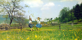 Карпатська весна, Львівщина. 1980-ті роки