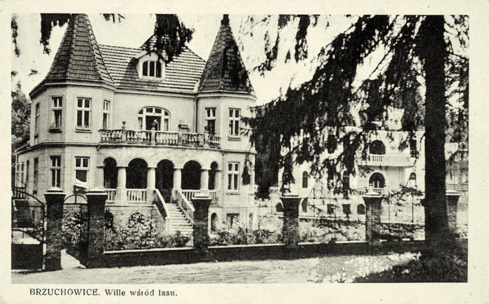 Брюховичі. Вілла посеред ставу, 1932 р.