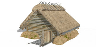 Пліснеськ, або як жили мешканці літописного городища