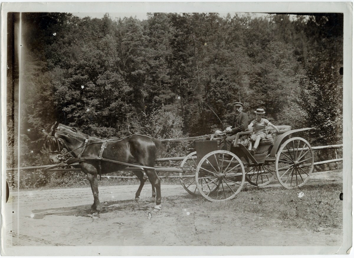 У маєтку Лянцкоронських в Роздолі, поч. ХХ ст.