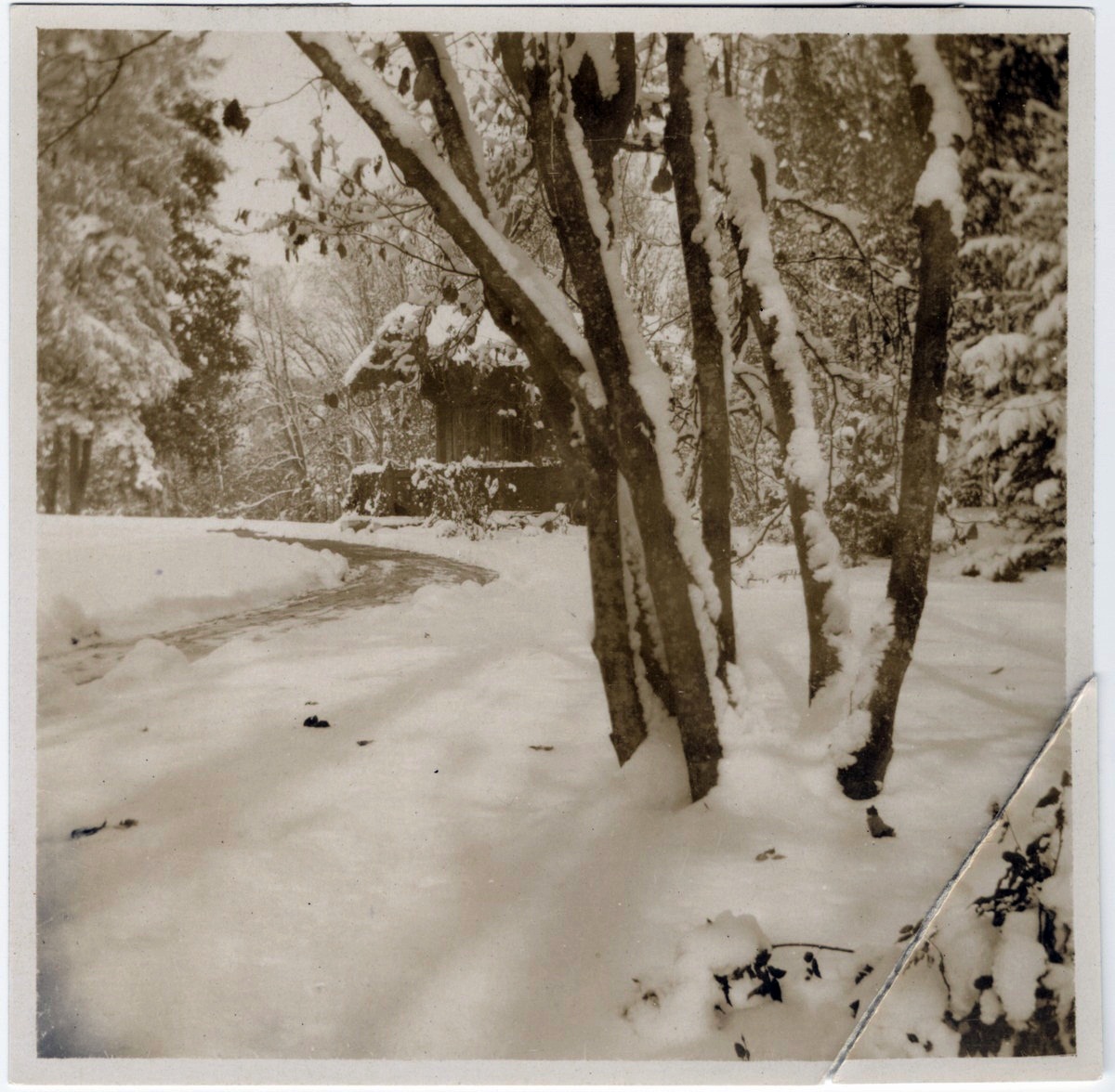 Маєток Лянцкоронських в Роздолі, поч. ХХ ст.