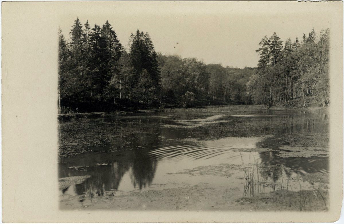 Маєток Лянцкоронських в Роздолі, поч. ХХ ст.