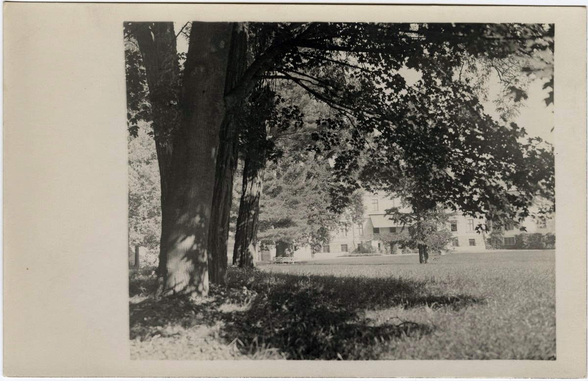 Маєток Лянцкоронських в Роздолі, поч. ХХ ст.