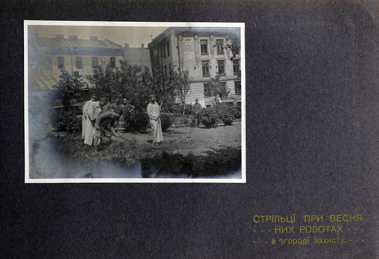 Дім Захисту УСС. Весняні роботи в садку, 1915-16 рр.