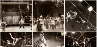 Браво, "Арлекіно!", або румунські артисти на сцені Львівського цирку