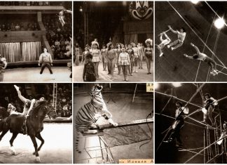 Браво, "Арлекіно!", або румунські артисти на сцені Львівського цирку