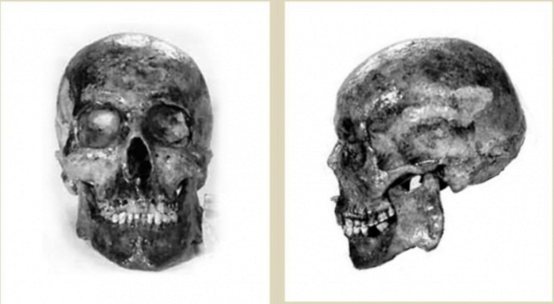 Череп умовного "князя Ярослава", реставрований С.Горбенком (1995)