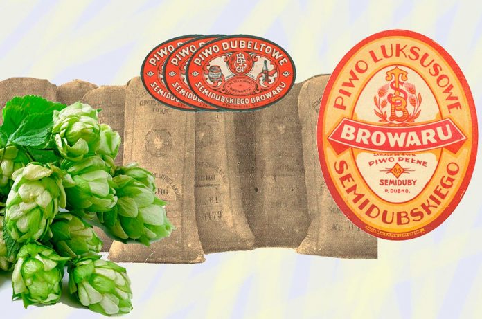 Як на Волині варили пиво, або унікальний хміль з Дубно