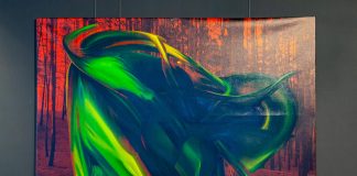 Експозиція проекту виставки "¿сАЛОН?"