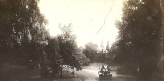 Авто гостей з Поділля