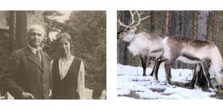 Якою львів’янам “малювали” Лапландію? Дорога туди і перші враження