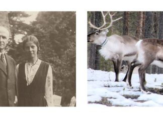 Якою львів’янам “малювали” Лапландію? Дорога туди і перші враження