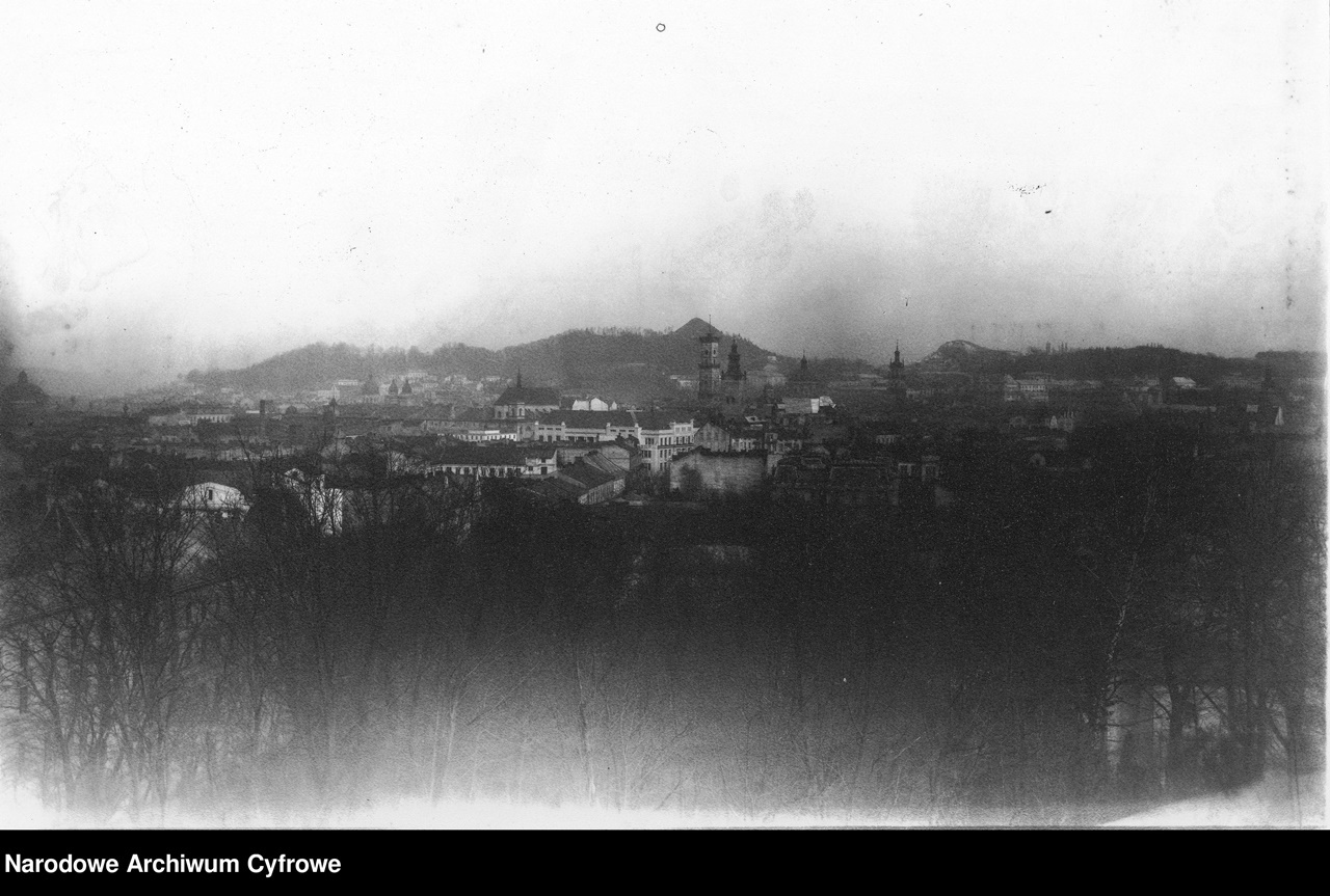 Панорама Львова, 1880-1939 рр.