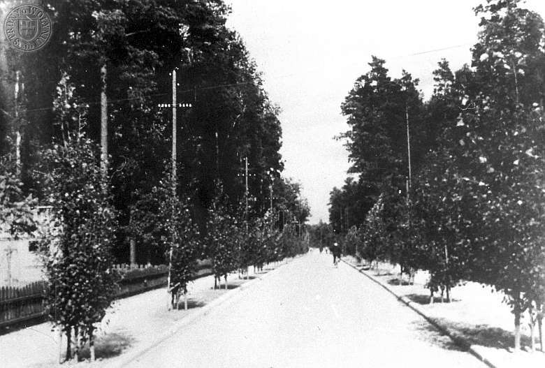 Вулиця-алея D 