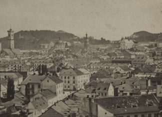 Панорама міста Львова, 1865 р.