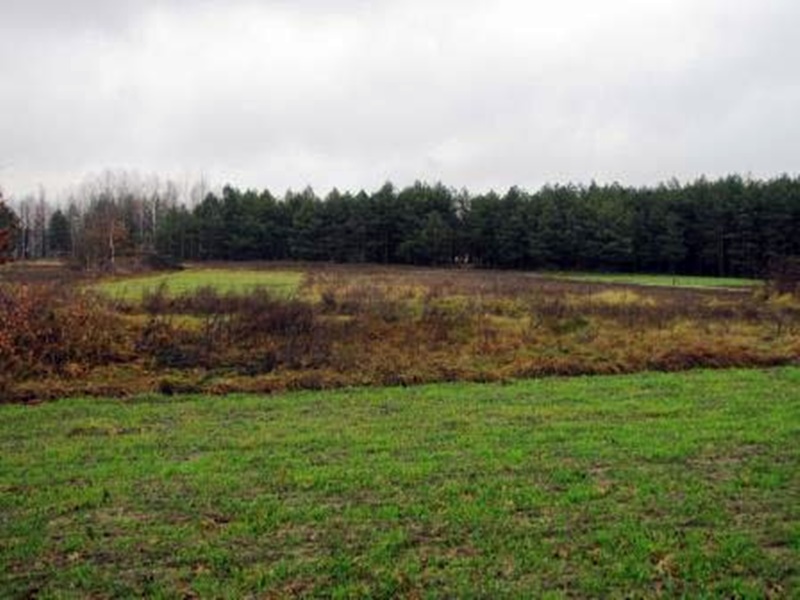 Тут колись був центральний майдан