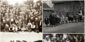 4 унікальні фотографії однієї локальної виставки