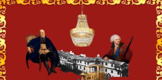 Палаци Волині: Дольськ