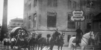 Свято пива у Львові, 1920-30-ті рр.