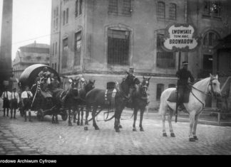 Свято пива у Львові, 1920-30-ті рр.