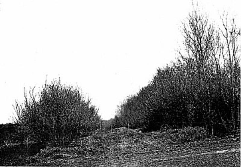 Так виглядало місце розстрілу в Сосонках у 1976 році