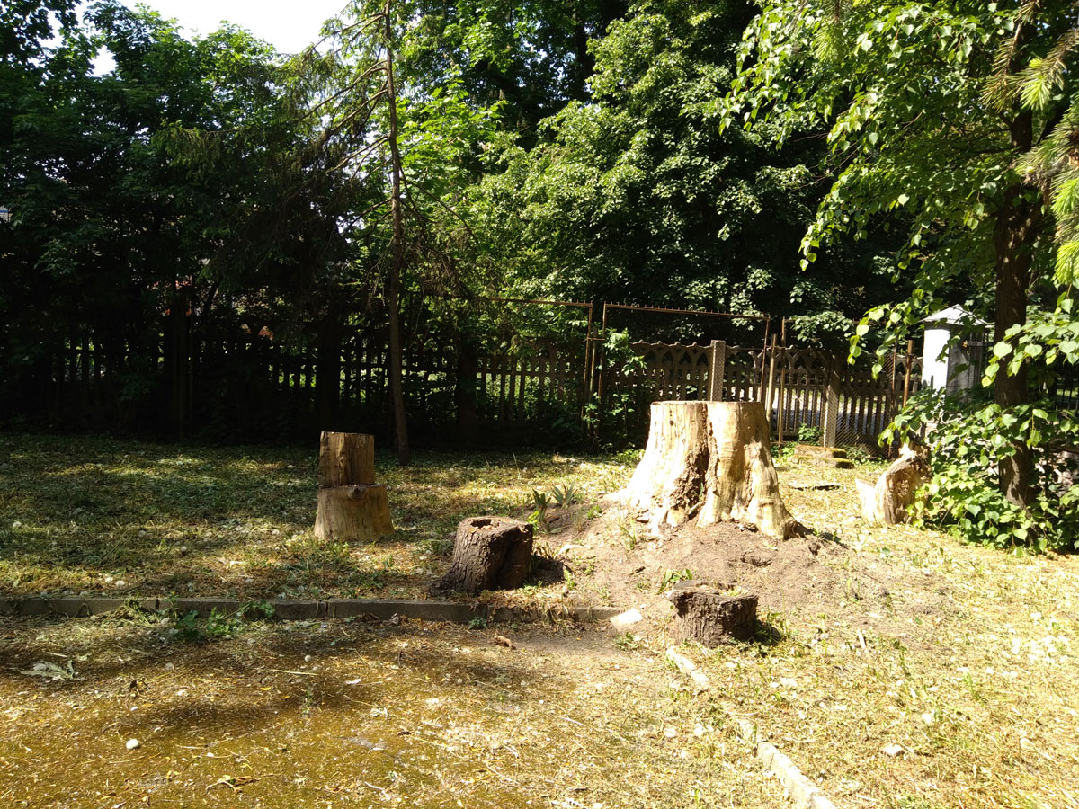 Ймовірне місце в глибині двору сучасного музею, де могла бути каплиця