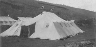 Санітарно-епідеміологічна служба в Галичині у 1915 році