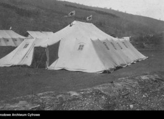 Санітарно-епідеміологічна служба в Галичині у 1915 році