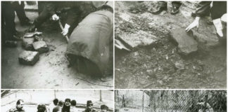 Як були віднайдені хрести та надгробки Січових Стрільців та воїнів УГА