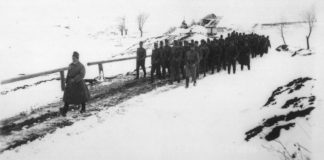 Українські Січові Стрільці