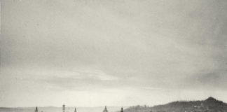 Юліан Дорош. Панорама Львова