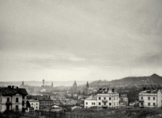 Юліан Дорош. Панорама Львова