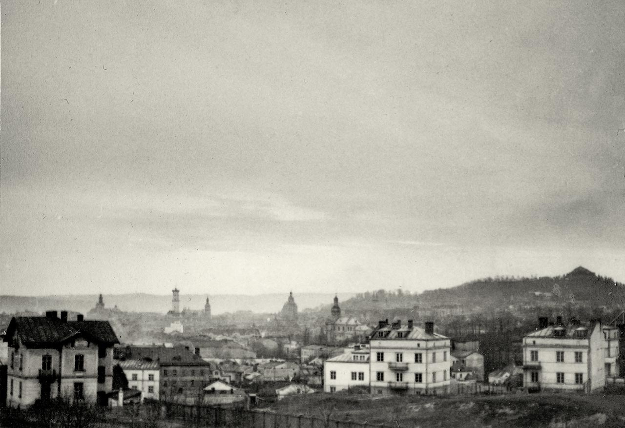 Юліан Дорош. Панорама Львова