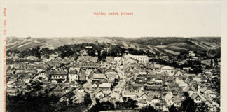 Загальний вигляд Бібрки. Поштівка 1910 року